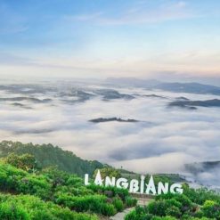 Tour Du Lịch Đà Lạt 3 Ngày 3 Đêm