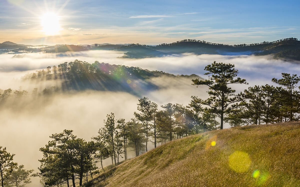 Exploring Dalat: Vietnam's Enchanting Highland Retreat -
